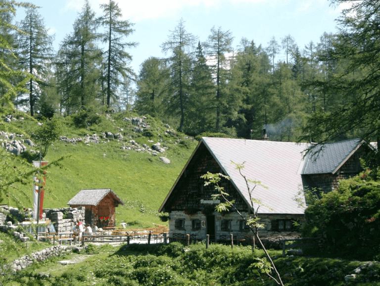 moosangerlalm1 768x578