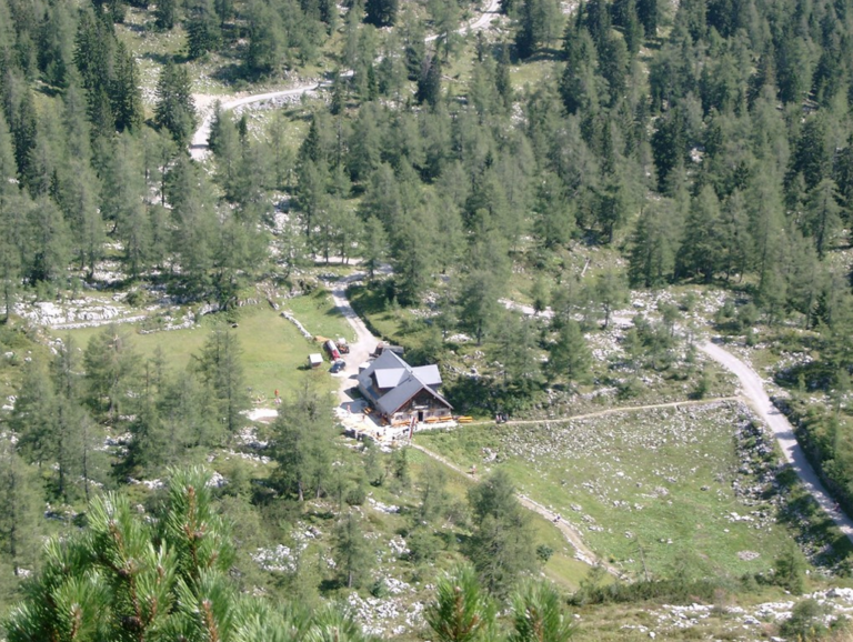 moosangerlalm6 768x578